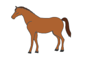 horse