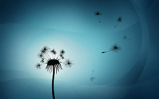 Dandelion and Light HD Wallpaper