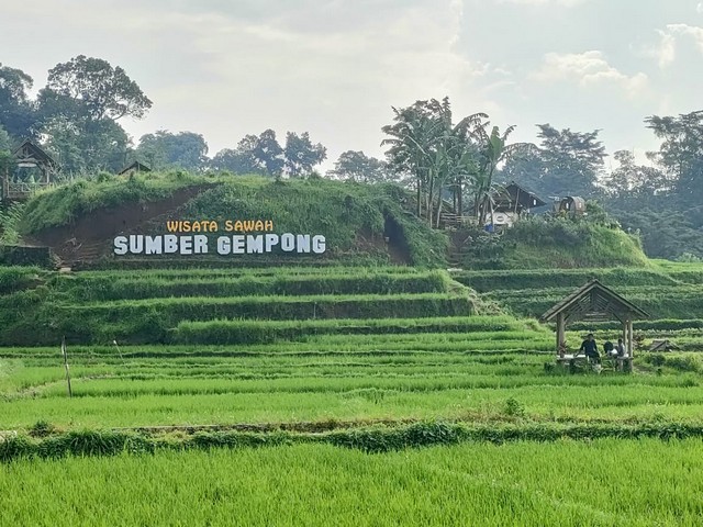 sumber-gempong-rice-field-tour-trawas-mojokerto-east-java-indonesia