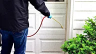 How to Find Reliable Pest Control in Toronto