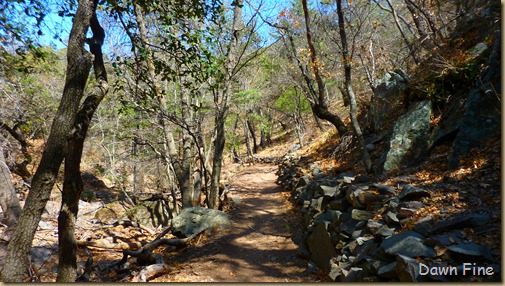 South rim hike,Big bend_050