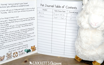 A stuffed animal is the very best classroom pet.  Kids love it and it's a great way to get kids to write in a home journal.