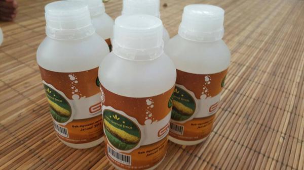 Obat Herbal Campak (Gabagen, Kerumut), Cara Ampuh Mengobati Campak Pada Anak Dan Dewasa