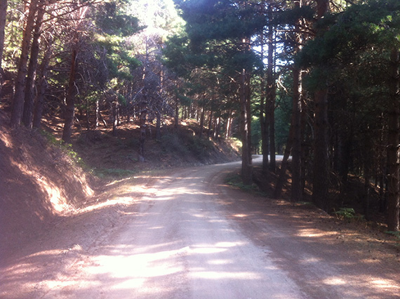 Ruta por las Zetas de La Pedriza, agosto 2013