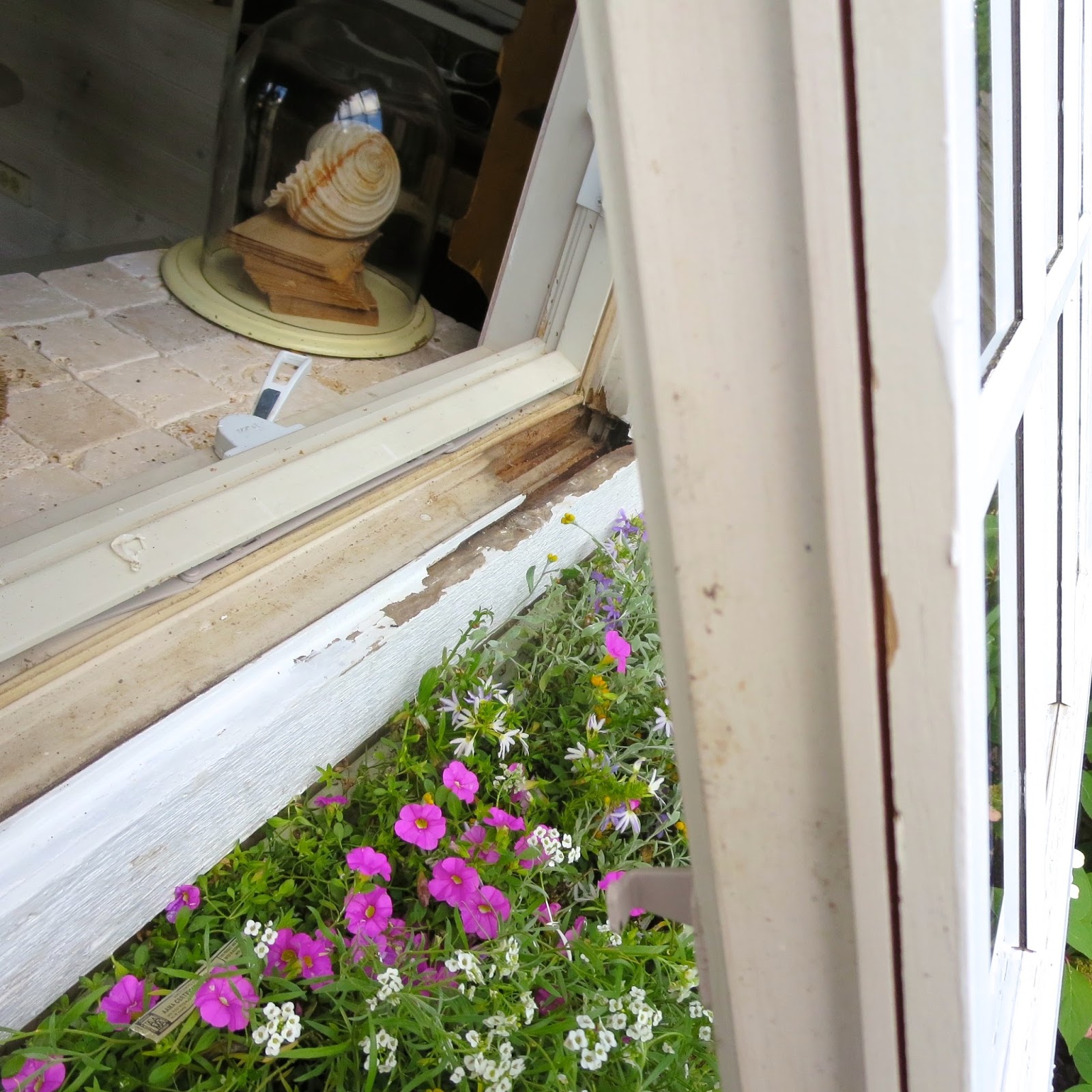 anything goes here: Done! Fix a rotted window sill.