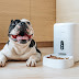 CHERRY Smart Pet Feeder Plus now Available for only ₱5,029!