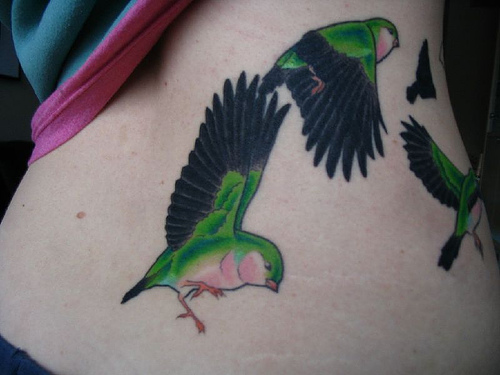 Bird Tattoos Pictures