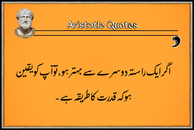 Aristotle quotes for ideas in urdu | best quotes