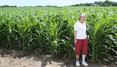 Photo of Pat Williams in corn field.