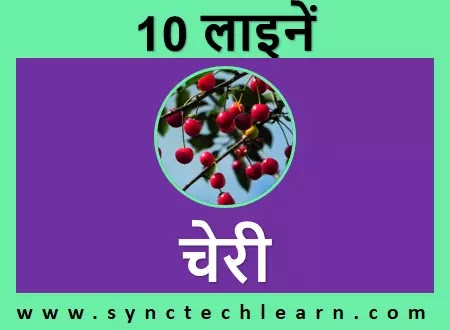 short nibandh cherry in hindi
