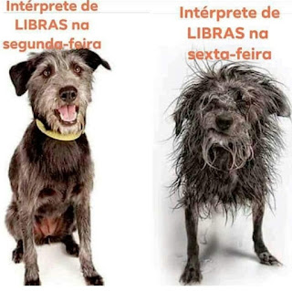 Foto de dois cães de médio porte. À esquerda, o peludo cinza e preto, com coleira amarela está sentadinho apoiado nas patas dianteiras. Os olhos redondinhos miram a câmera, a boca aberta mostra dentes alvos e língua rosada. Acima lê-se: intérprete de Libras na segunda-feira. À direita, o outro peludo em pé, com o pelo todo ouriçado, mal cuidado com aspecto sujo, olhos fechados e boca torta. Acima lê-se: intérprete de Libras na sexta-feira.