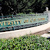 Director’s Scholarships at University of California Irvine.