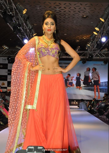 shriya+saran+ramp+(16)