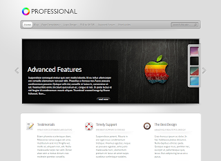 Snapshot of TheProfessional Theme demo page