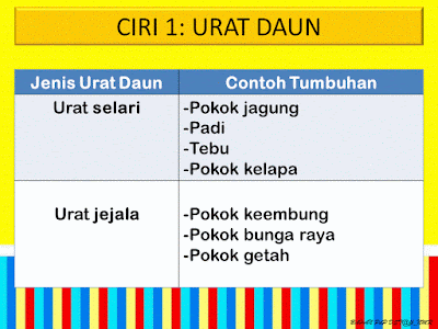 Dunia Sains dan Teknologi (Belajar dengan Ceria): DST 