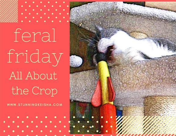 Feral Friday: It's All About the Crop