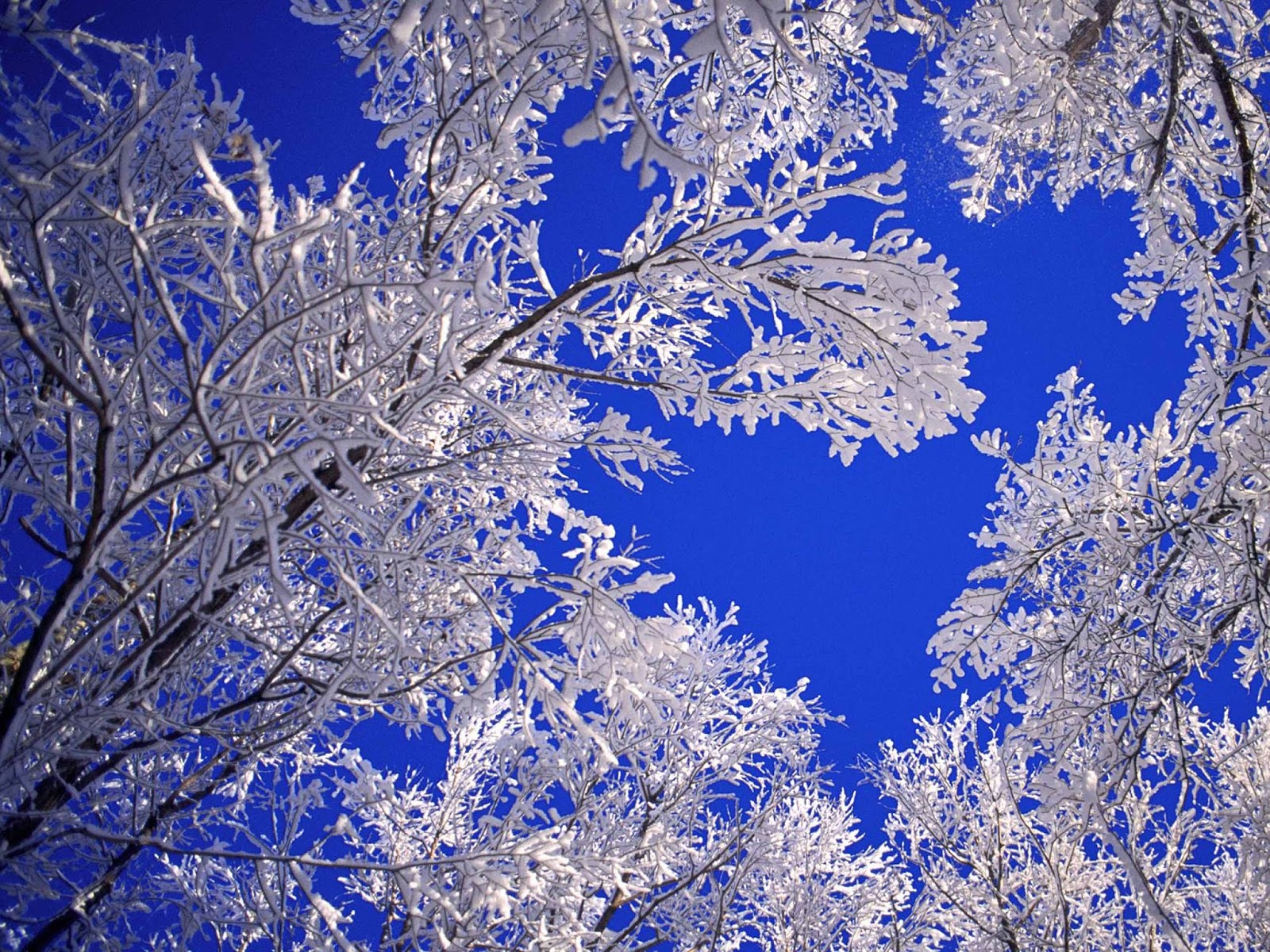 HD Wallpapers: Winter Scenes for Desktop