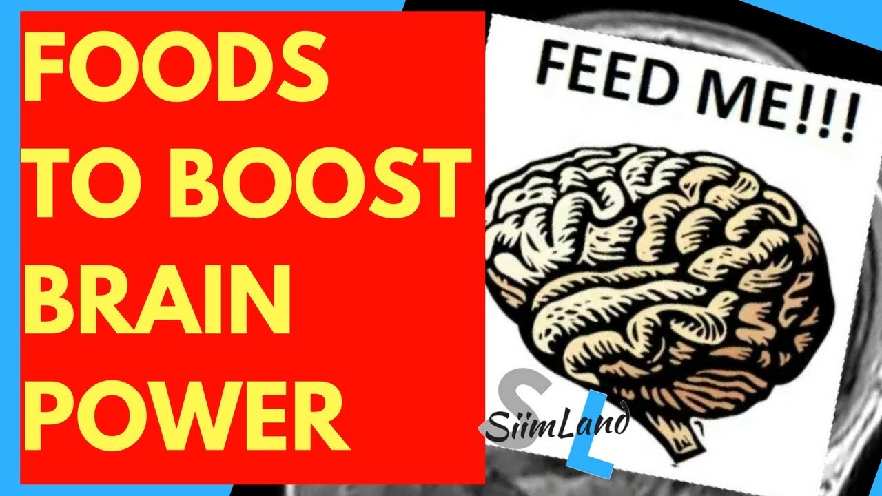  Makanan Penambah Ketajaman Otak, Daya Ingat, dan Kecerdasan