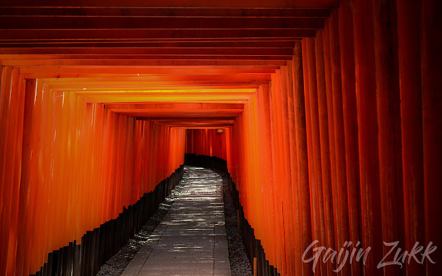 Volpi, Torii e vecchi amici