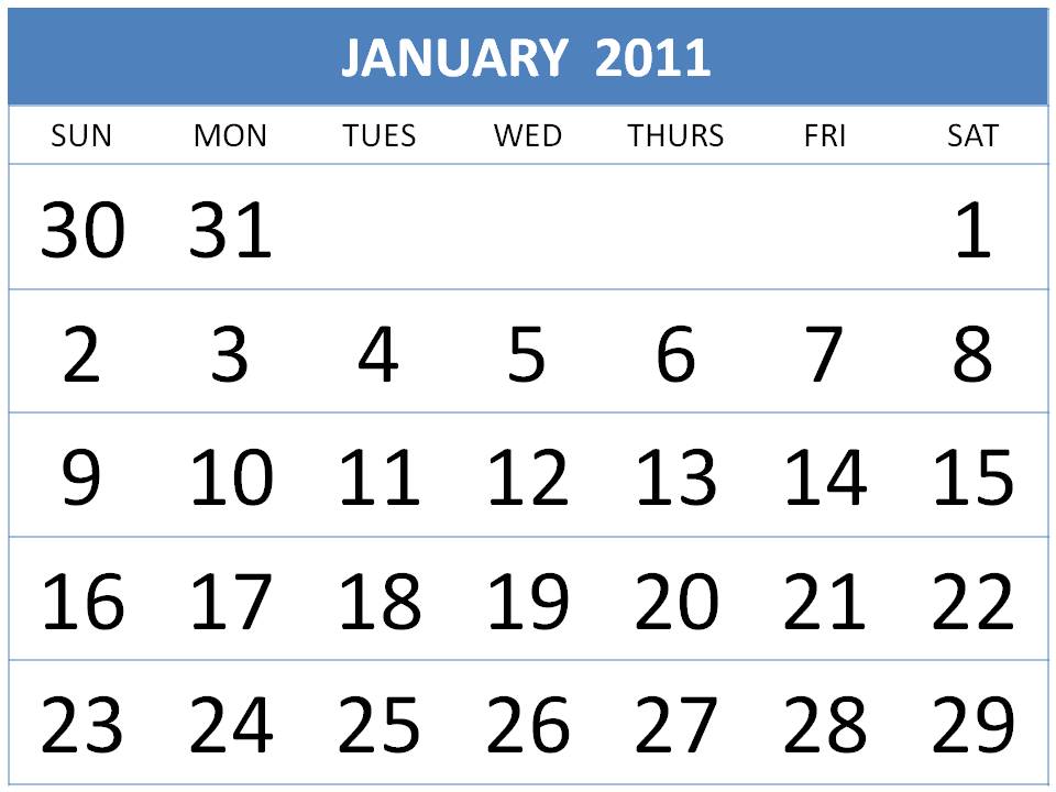 Flowers January 2011 Calendar