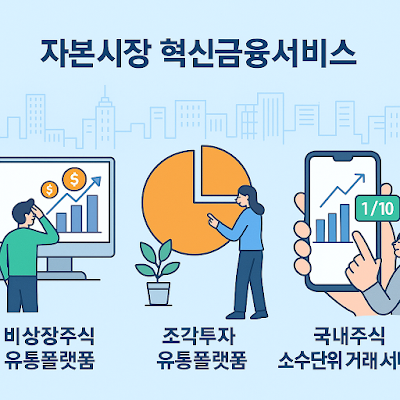 자본시장 혁신금융서비스 제도화 방안