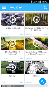 MegaCast Pro v1.0.77 APK