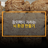 창의력이 자라는 뇌