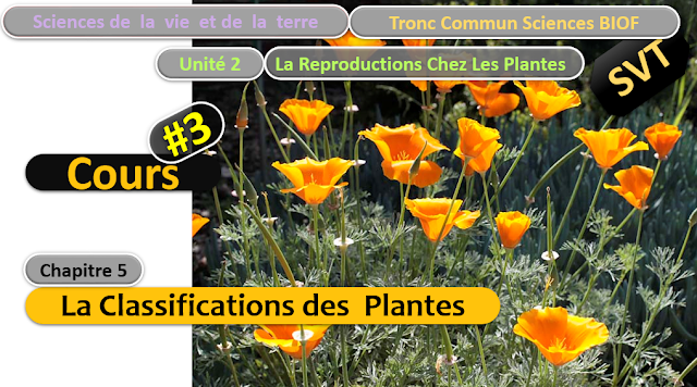 Télécharger | Cours | Tronc commun  Sciences  > La Classifications des  Plantes  (TCS Biof)  SVT  #3