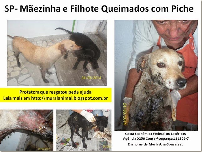 SP- Mãezinha e Filhote Queimados com Piche