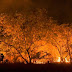 Com 77 mil focos de incêndios em setembro, Brasil é país com mais queimadas no mundo