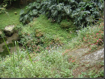 DSC01834