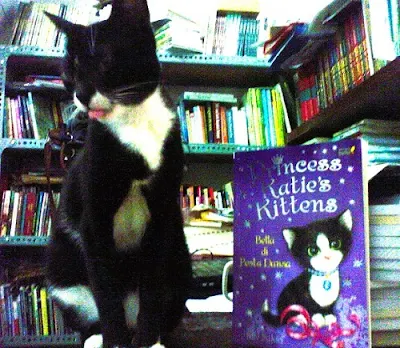 Novel anak Princess Katie's Kitten
