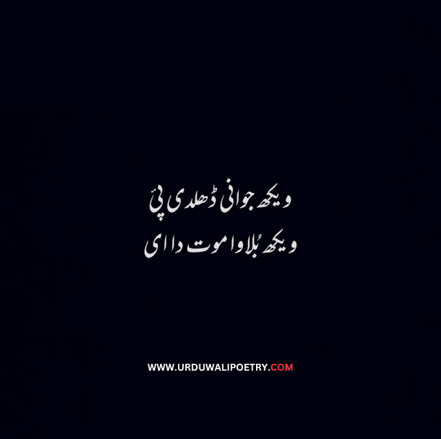 Best Punjabi Poetry in Urdu Lines | Punjabi Quotes in UrduBest Punjabi Poetry in Urdu Lines | Punjabi Quotes in Urdu