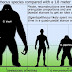 GIGANTOPITHECUS 