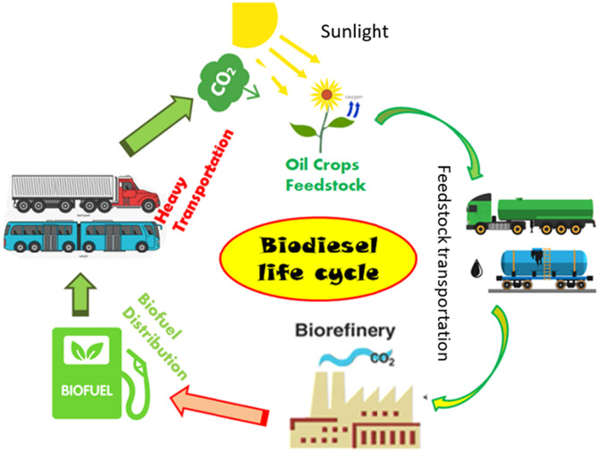 Recent development of advanced processing technologies for biodiesel production: A critical review - ScienceDirect