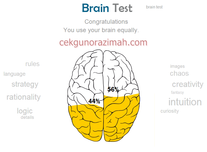 uji otak, brain test