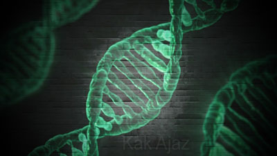 Pembahasan Biologi No. 51 - 55 TKD Saintek SBMPTN 2017 Kode Naskah 157, untaian DNA, double helix, rekombinasi gen, null allela