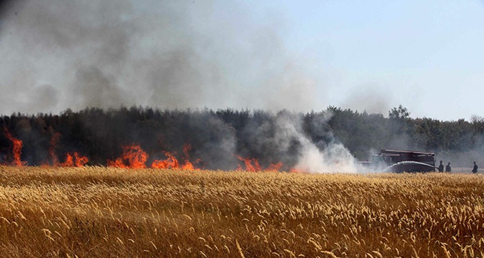 russia-forest-fire (51)