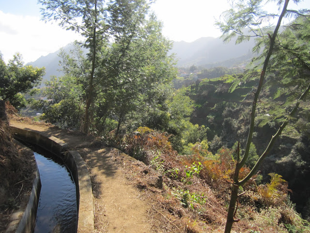 Madeira Levada do Castelejo