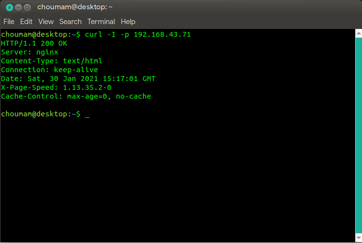 Hasil pengujian dari pemasangan EngineX dengan modul PageSpeed dengan cURL