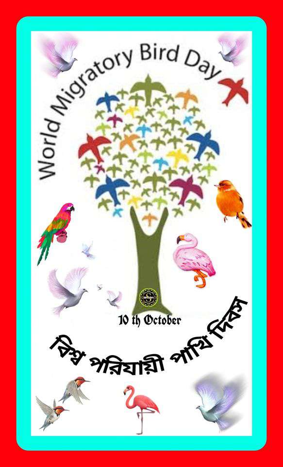 World Migratory Bird Day Wishes Beautiful Image