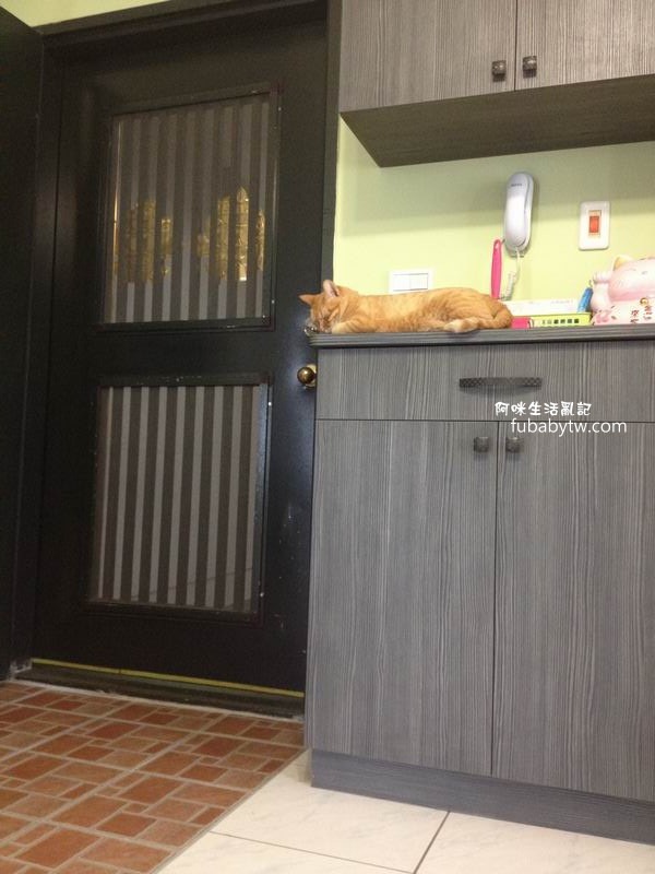 調整大小IMG_8526