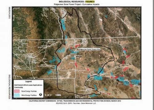 Mohave Ground Squirrel In Peril Conservation Plan Lagging Behind Threats