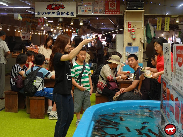 La pêche aux calamars au marché de Hakodate