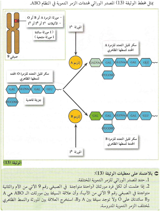 مدونة علوم الطبيعة والحياة الذات واللاذات