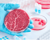  "The Future of Food: Lab-Grown Meat Explained"
