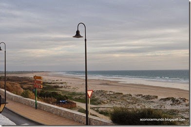 Conil. Playa Bateles - DSC_0235