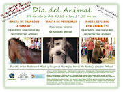 Día del AnimalFirmá el petitorio Online