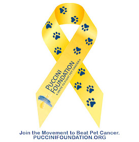 Yellow ribbon with The Puccini Foundation and blue paw prints
