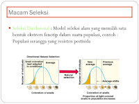 3 Macam Cara Seleksi Alam Untuk Pewarisan Sifat Lengkap Dengan Penjelasan